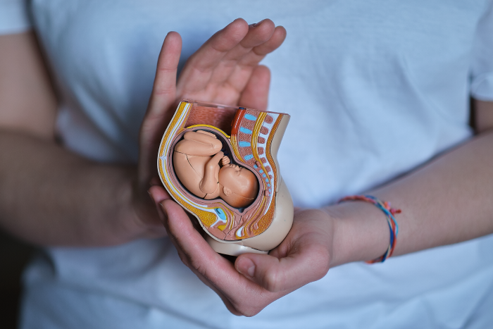 Fetal Growth​